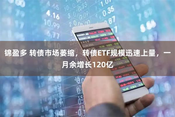 锦盈多 转债市场萎缩，转债ETF规模迅速上量，一月余增长120亿
