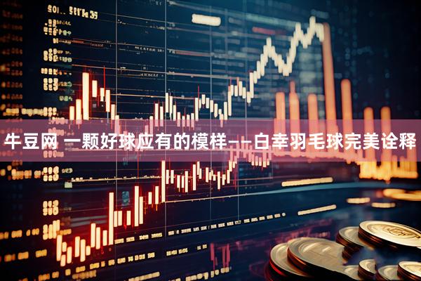 牛豆网 一颗好球应有的模样——白幸羽毛球完美诠释